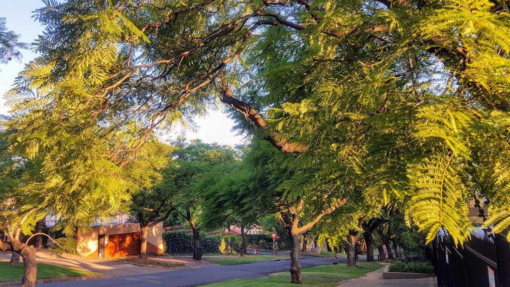 800@Merton Pretoria-Noord Exteriér fotografie